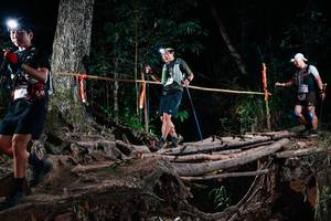 BIB: 
                            <button type="button" onclick="openModal(27423258)" class="btn btn-primary btn-sm float-right btn-popup" data-toggle="modal" data-target=".modal-high-quality">
                        <i class="fas fa-shopping-cart"></i> Add to Cart
                    </button>
                                            <button type="button" onclick="isThisMe(27423258, true)" class="btn btn-success btn-sm float-right btn-popup btn-isme hidden" data-toggle="tooltip" data-placement="bottom" title="นี่คือรูปของคุณใช่ไหม คลิกที่นี่เพื่อเอาเข้าอัลบั้ม">
                        <i class="fas fa-plus"></i> Add to album
                    </button>
                    <button type="button" onclick="isThisMe(27423258, false)" class="btn btn-warning btn-sm float-right btn-popup btn-isnotme hidden">
                        <i class="fas fa-ban"></i> Remove from album
                    </button>